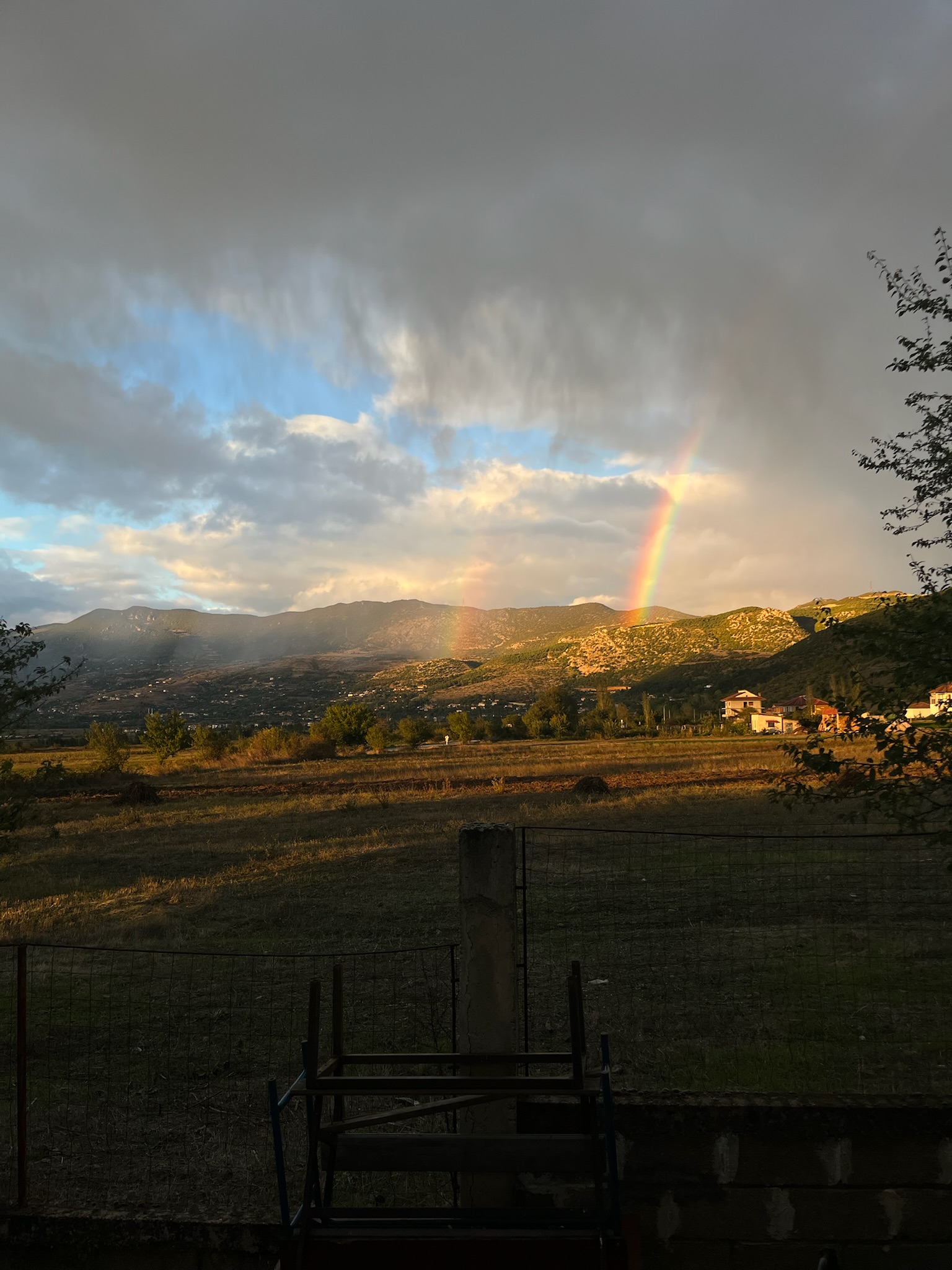 Commitment and Changes