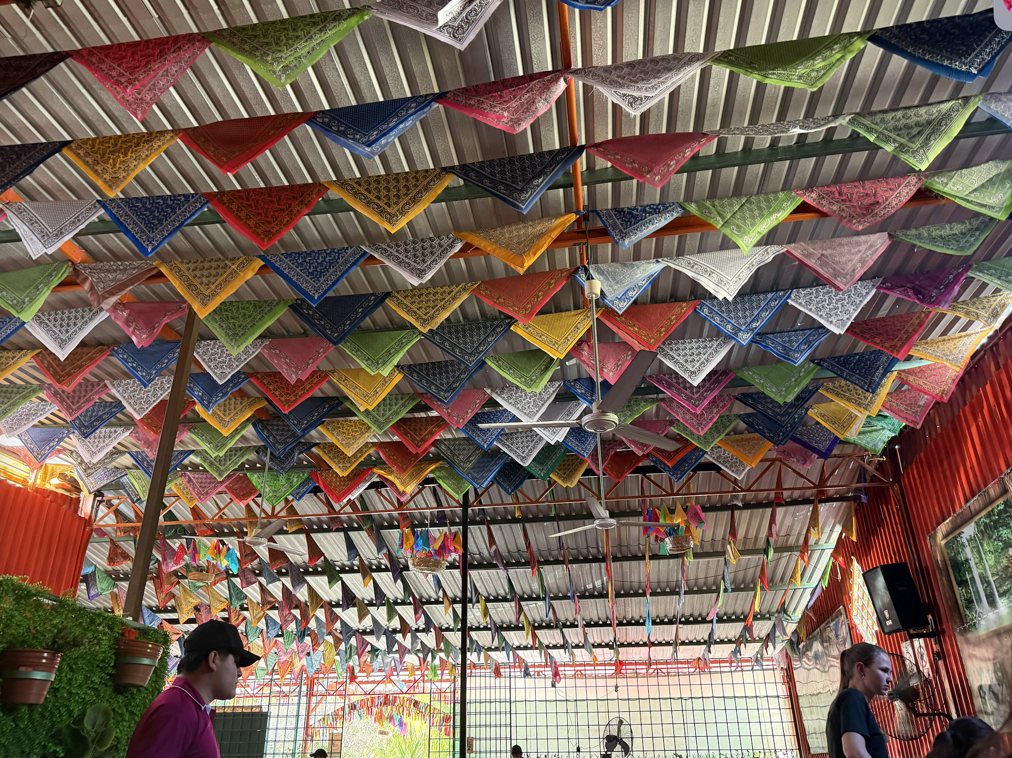 Mexico!! Leaning into all God has in store